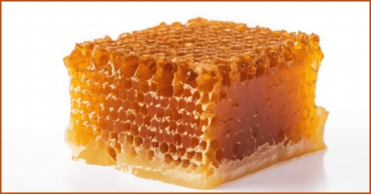 Premium Raw Honey with Honeycomb
