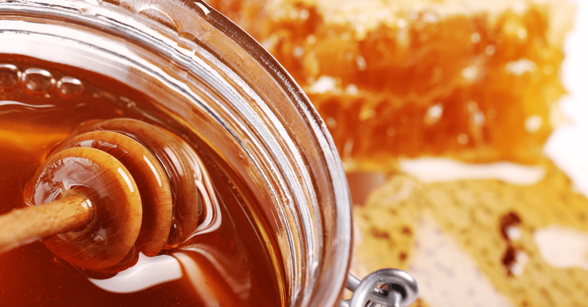 Best Raw Natural Honey suppliers in the USA